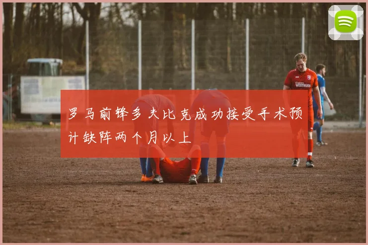 罗马前锋多夫比克成功接受手术预计缺阵两个月以上