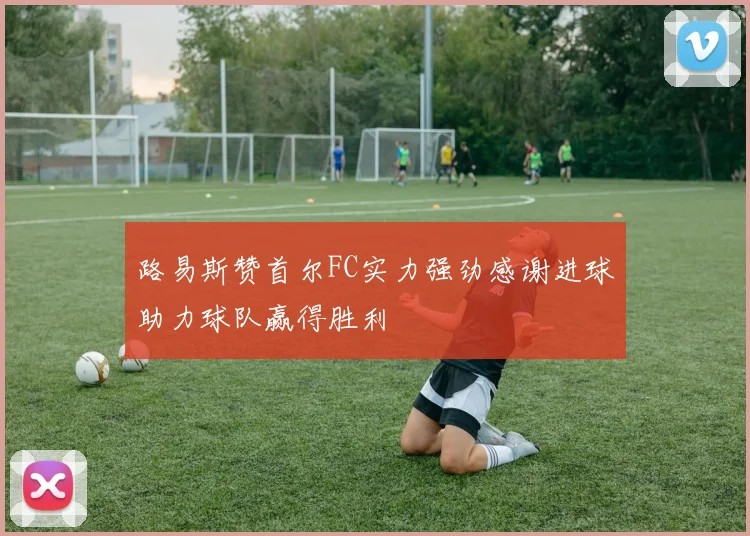 路易斯赞首尔FC实力强劲感谢进球助力球队赢得胜利